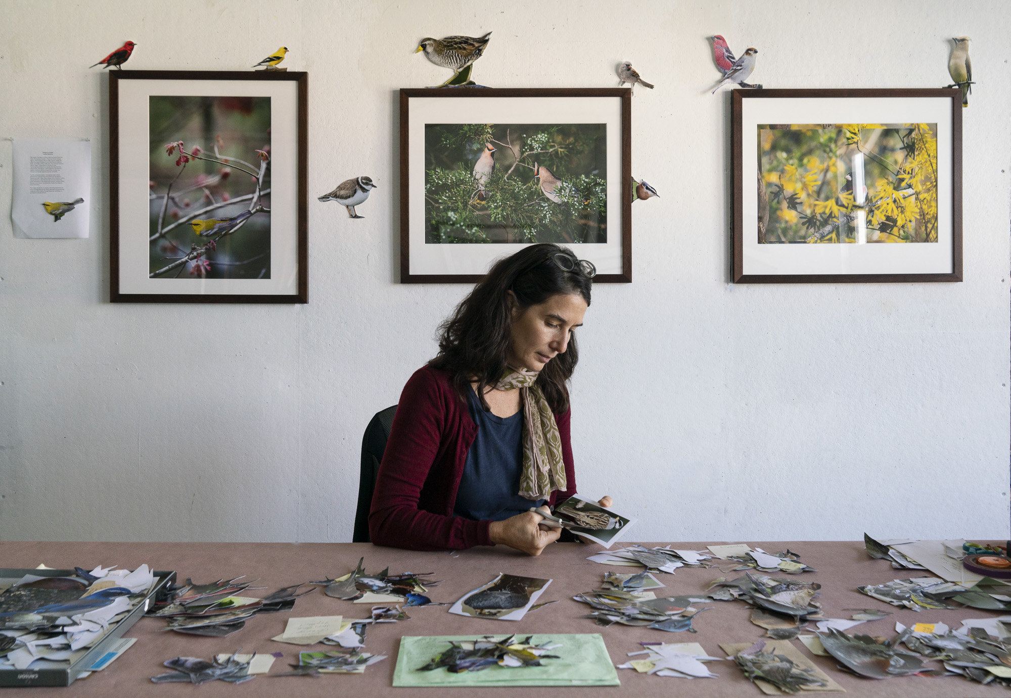 Carolyn Monastra creating bird cutouts in her studio