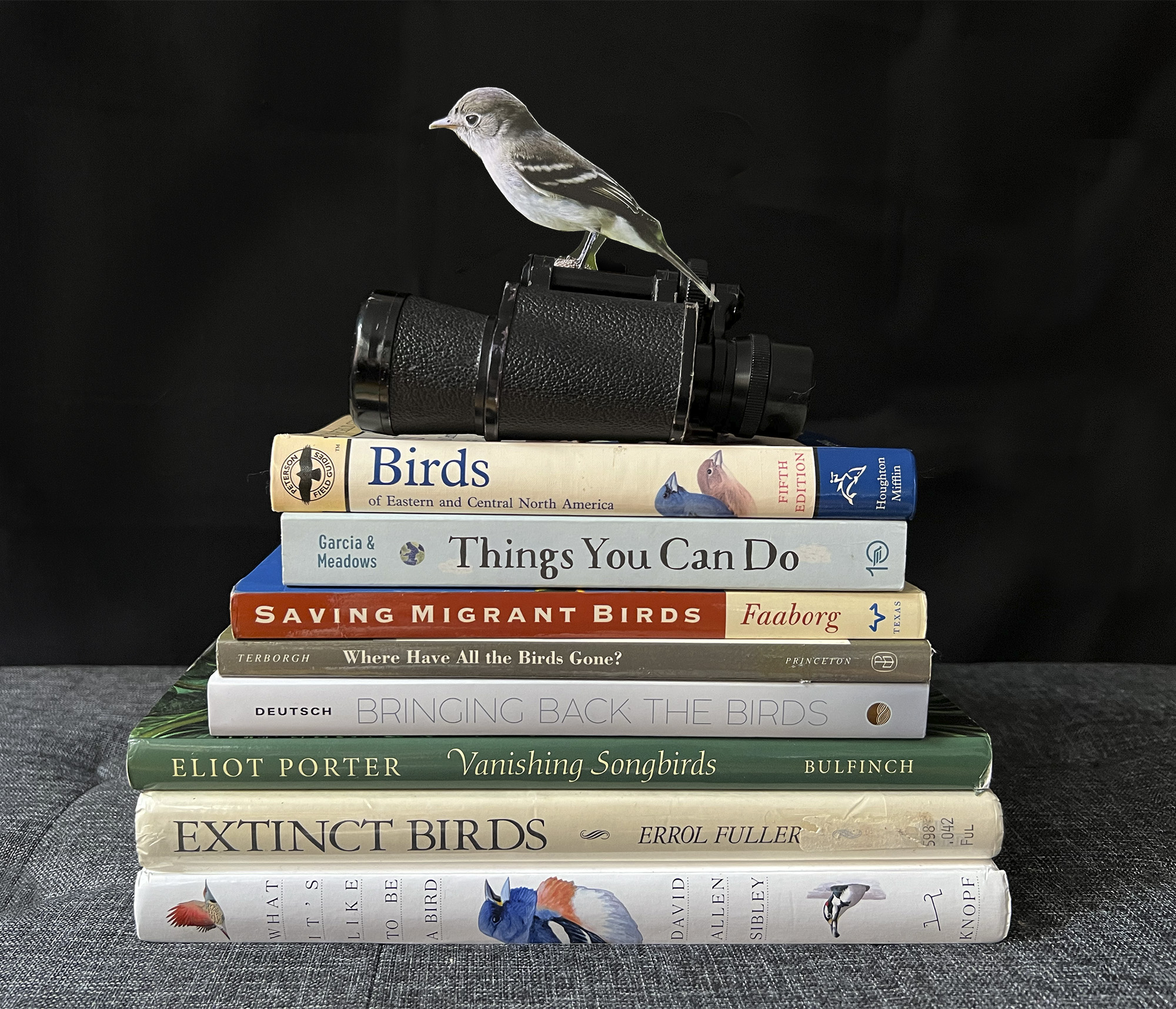 A photo of a stack of books about birds and how you can help them