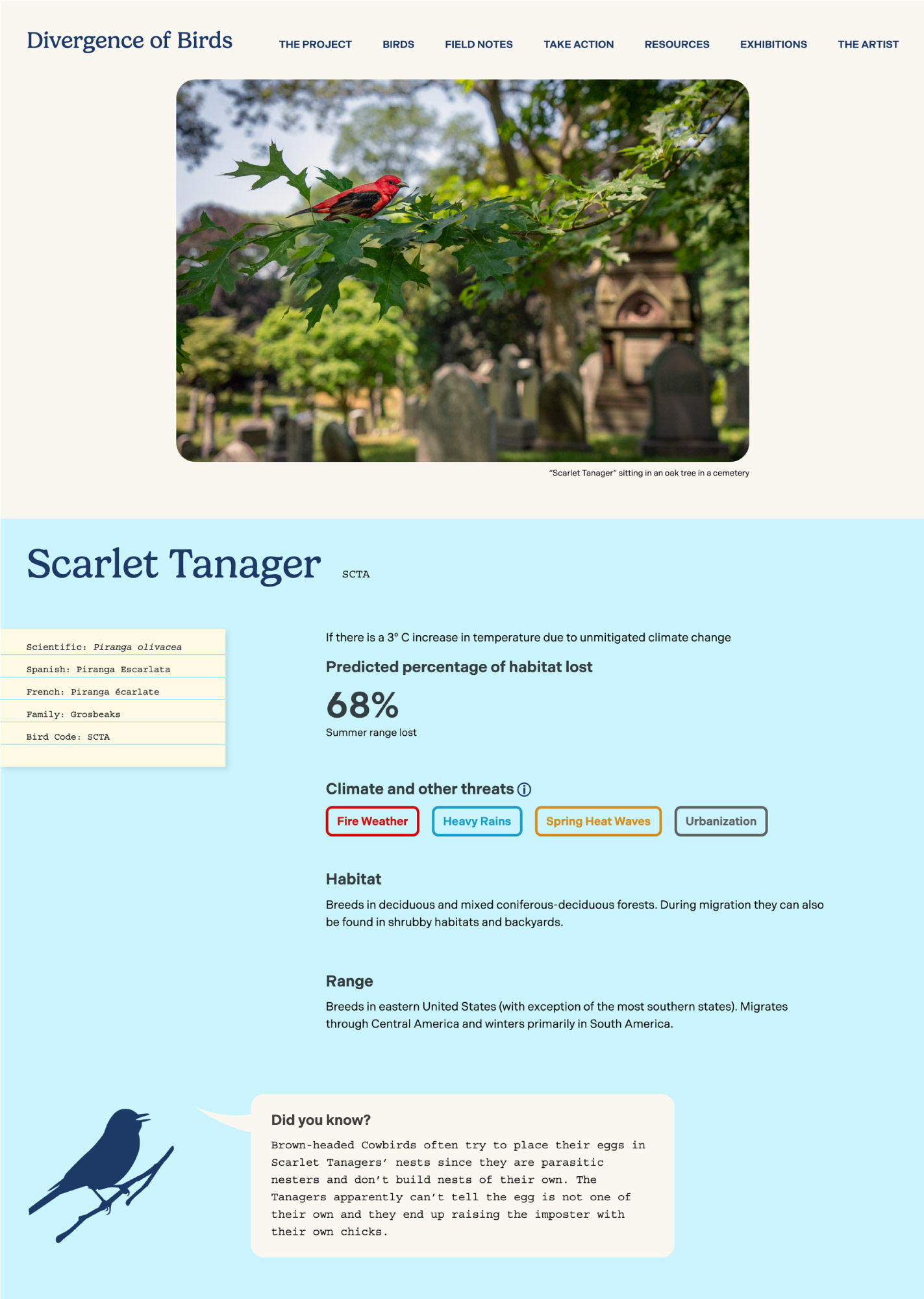 Screenshot of the Scarlet Tanager page